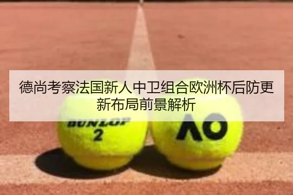 德尚考察法国新人中卫组合欧洲杯后防更新布局前景解析